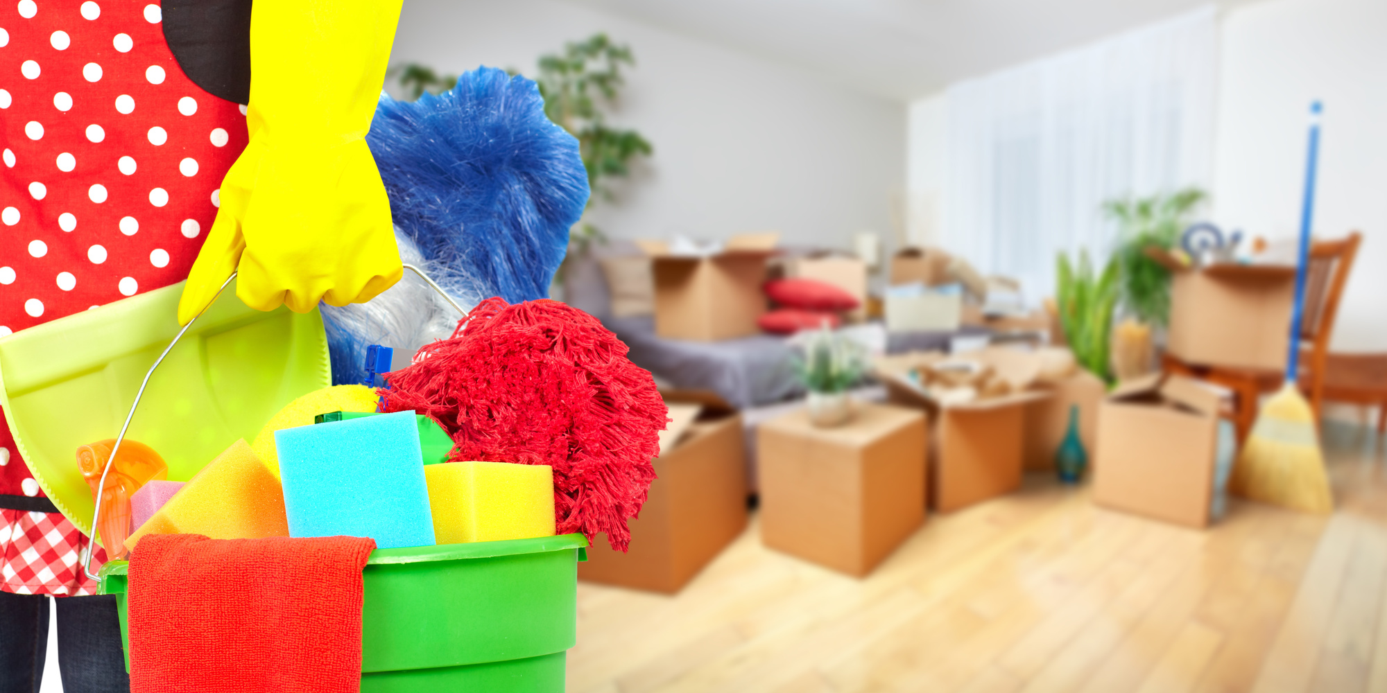 Move-in and move-out cleaning services